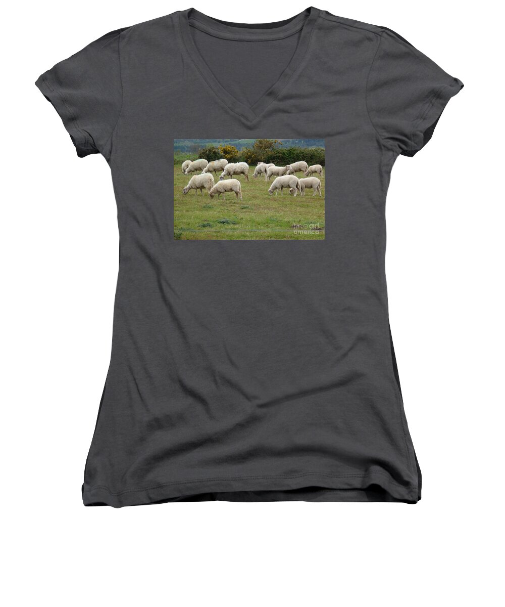 Animals Women's V-Neck featuring the photograph Flock of Sheeps by Jean Bernard Roussilhe