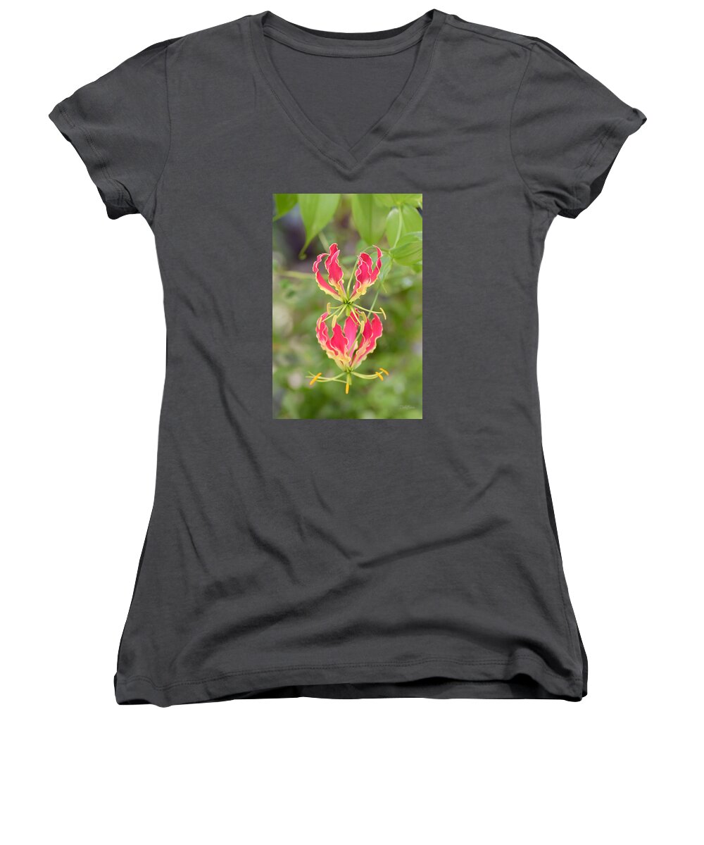 Floral Women's V-Neck featuring the photograph Floral Twirlers by Deborah Crew-Johnson