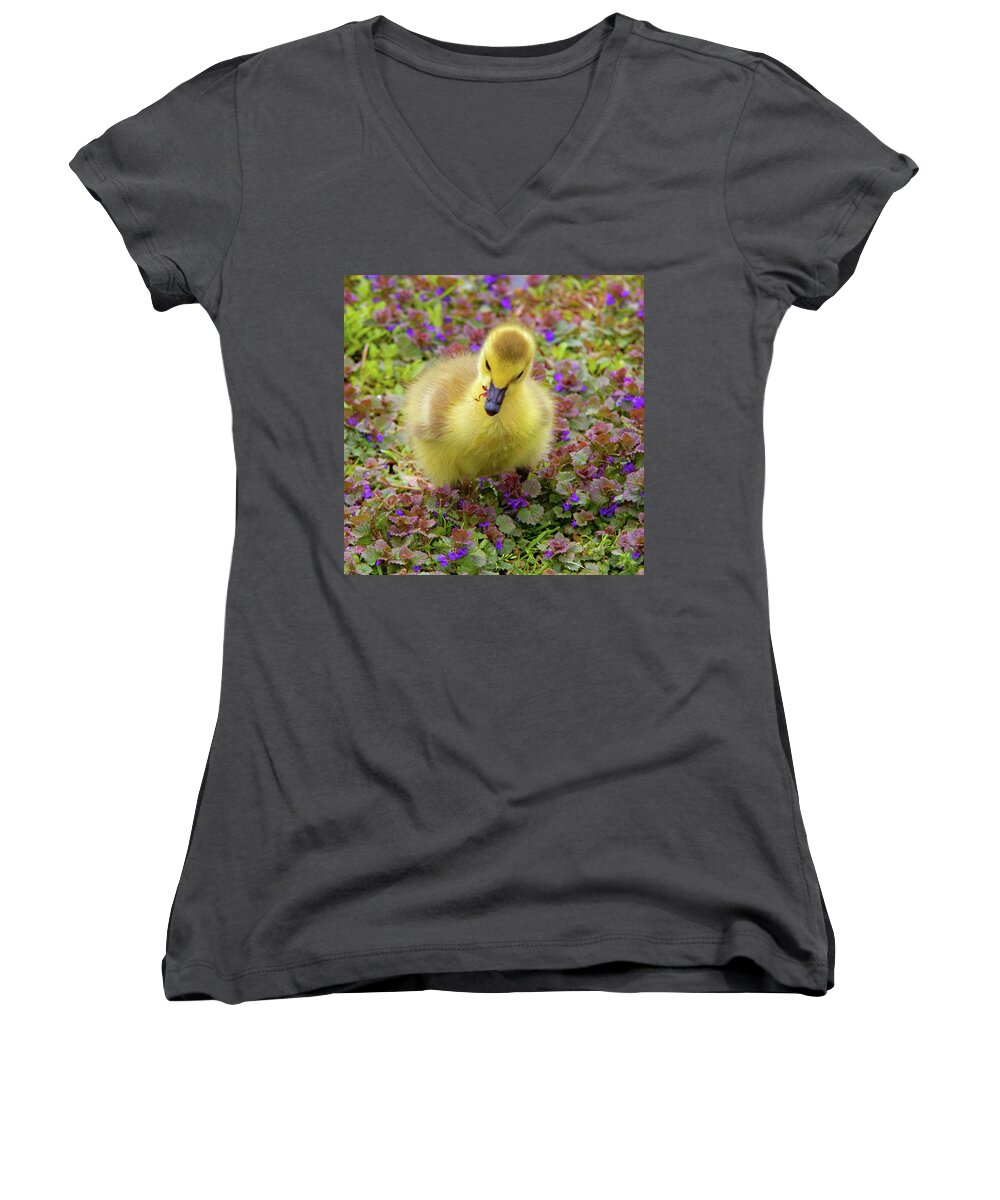 Gosling Women's V-Neck featuring the photograph Flowers for lunch by David Freuthal