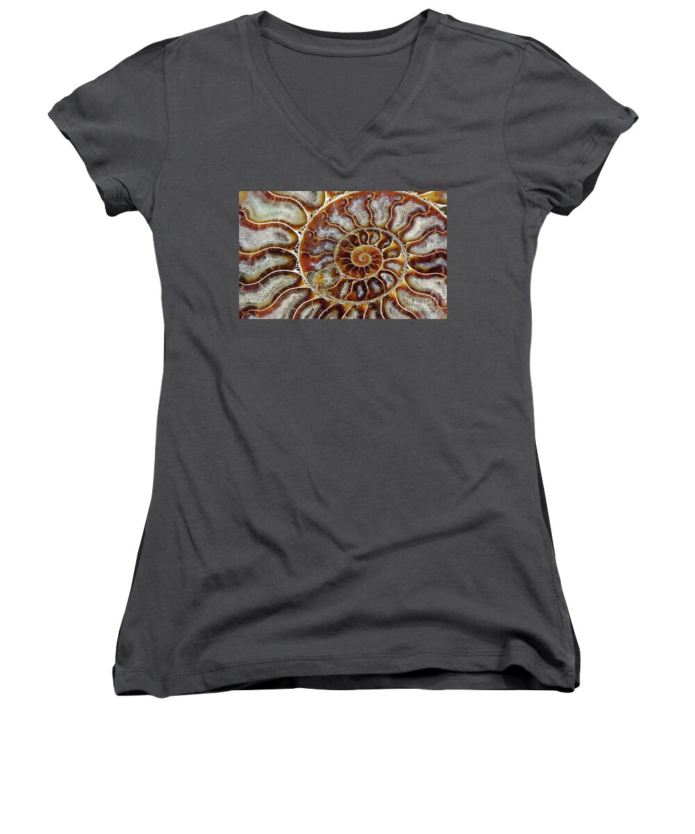 Ammonite Women's V-Neck featuring the photograph Fossilized Ammonite Spiral by Bruce Block