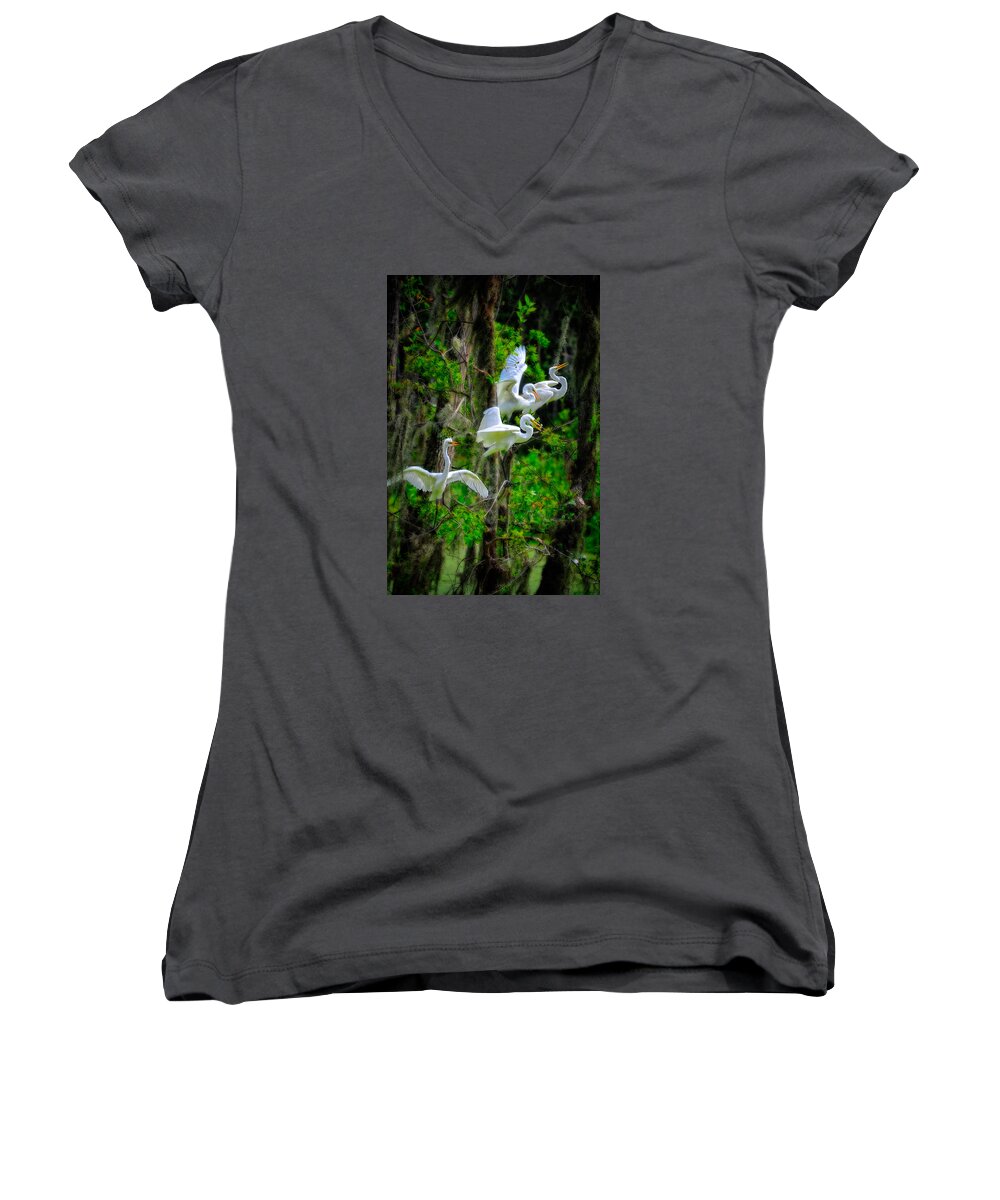 Birds Women's V-Neck featuring the photograph Four Egrets by Harry Spitz