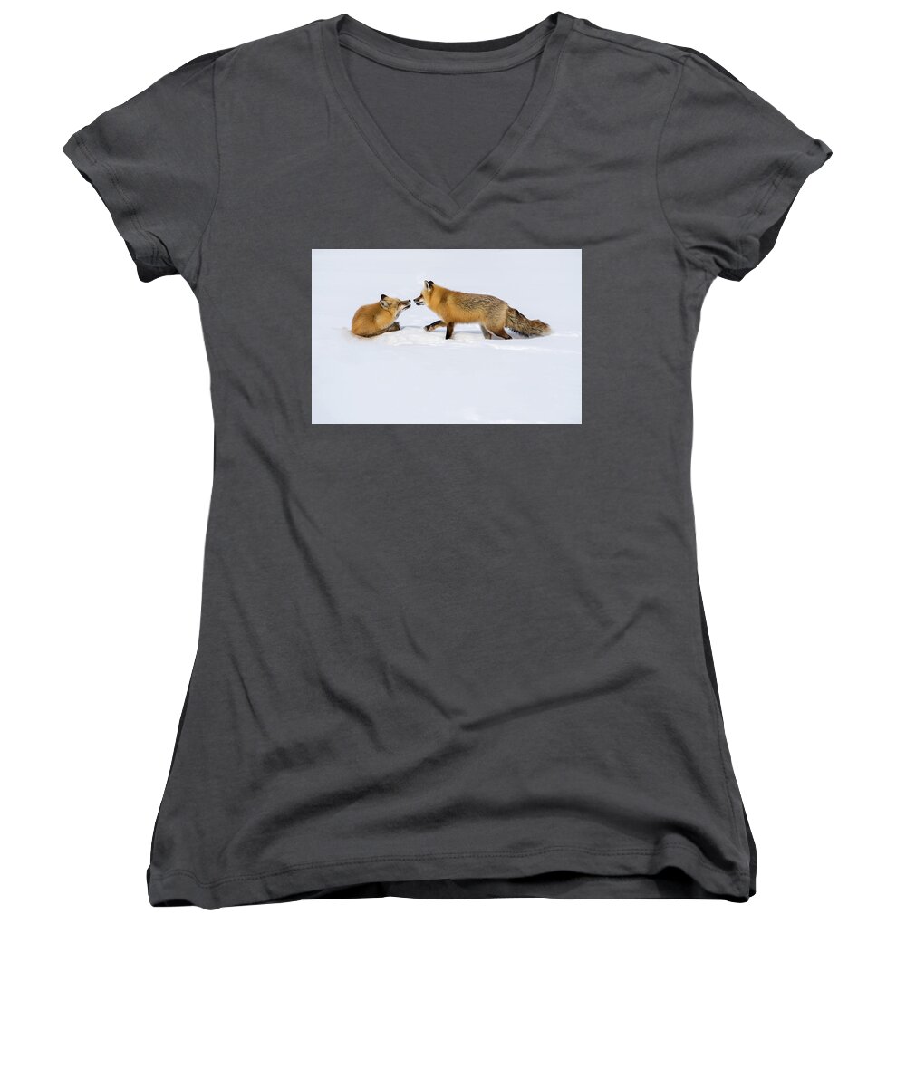 Grand Teton National Park Women's V-Neck featuring the photograph Fox Love by Brenda Jacobs