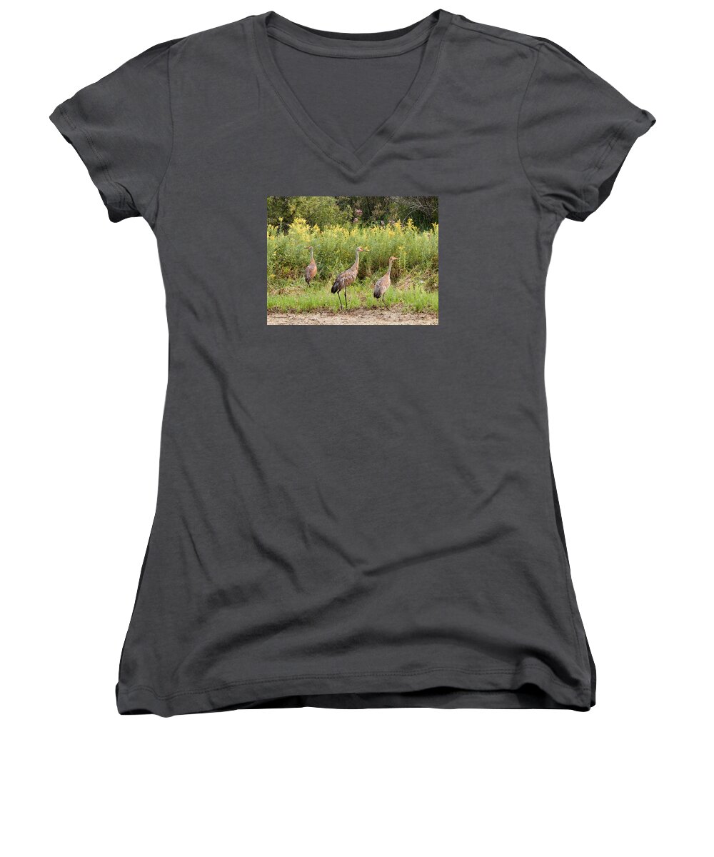 Summertime Women's V-Neck featuring the photograph Fraser Niles and Martin by Wild Thing