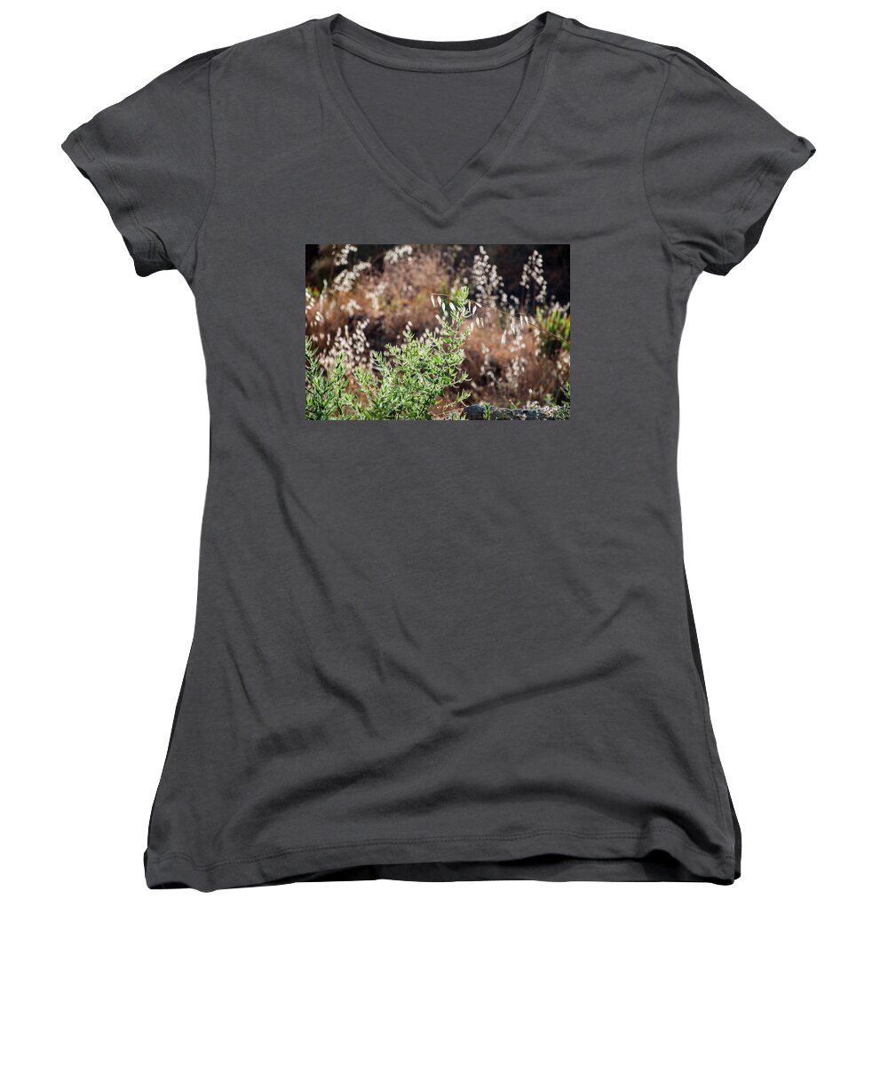 Andalucia Women's V-Neck featuring the photograph Garden Contre Jour 2 by Geoff Smith