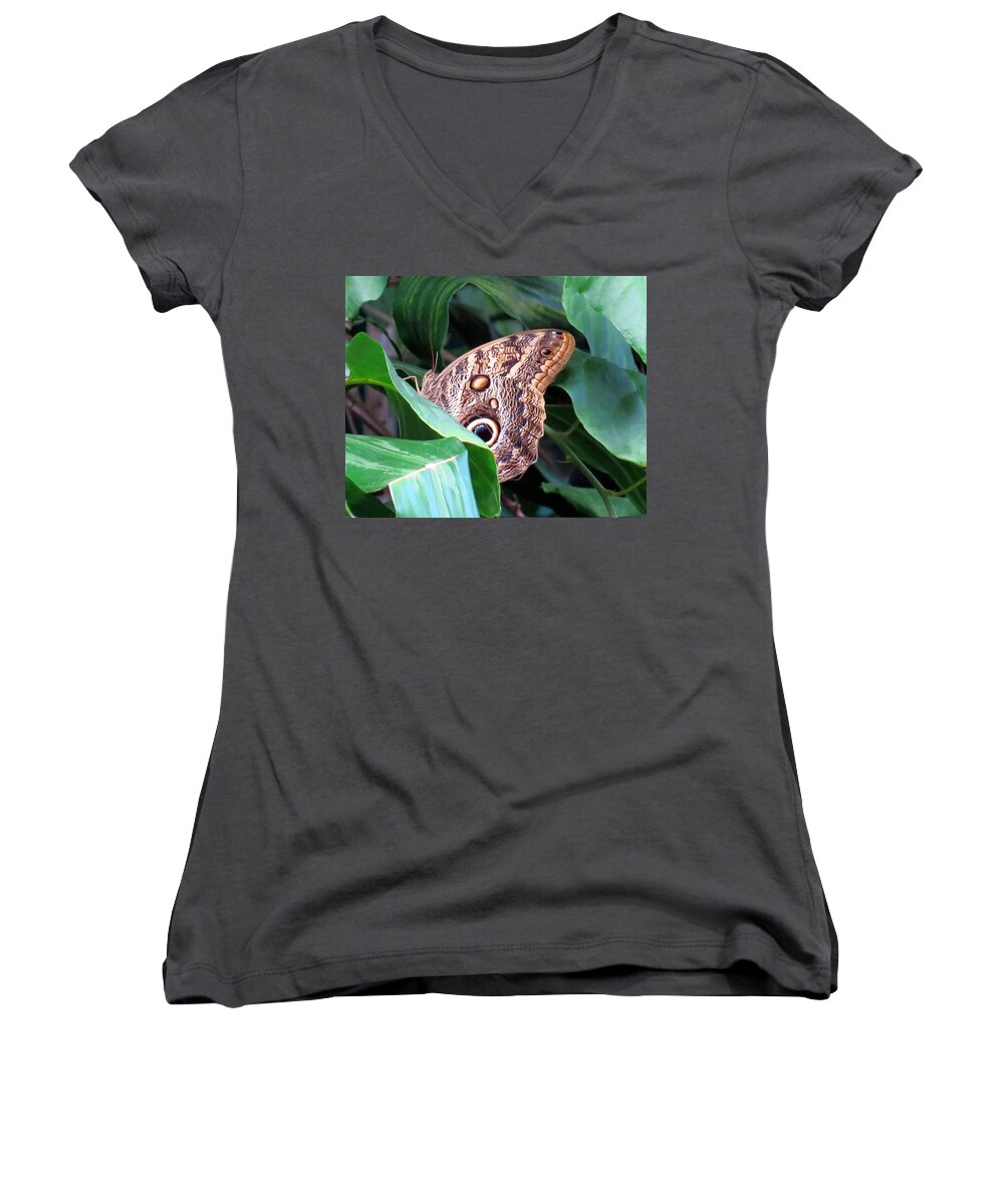 Butterfly Women's V-Neck featuring the photograph Giant Owl Butterfly by Betty Buller Whitehead
