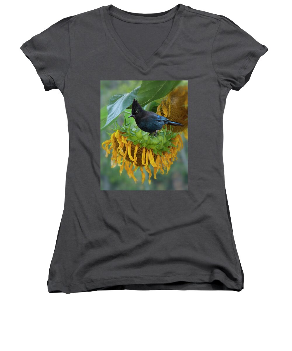 Bird Women's V-Neck featuring the photograph Giant Sunflower With Jay by Theresa Tahara