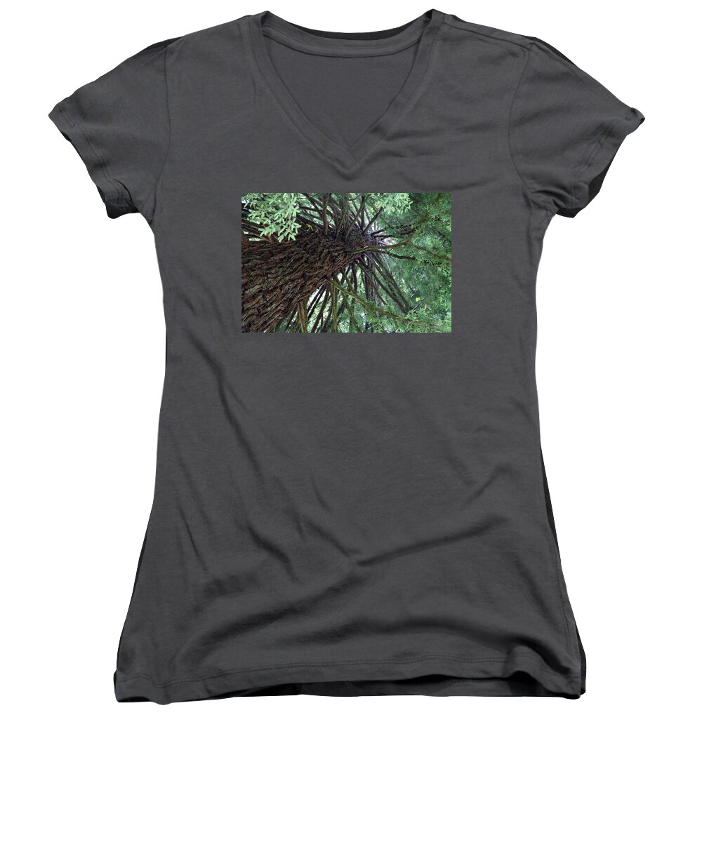 Enchanted Forest Women's V-Neck featuring the photograph Glorious Tree by Portraits By NC