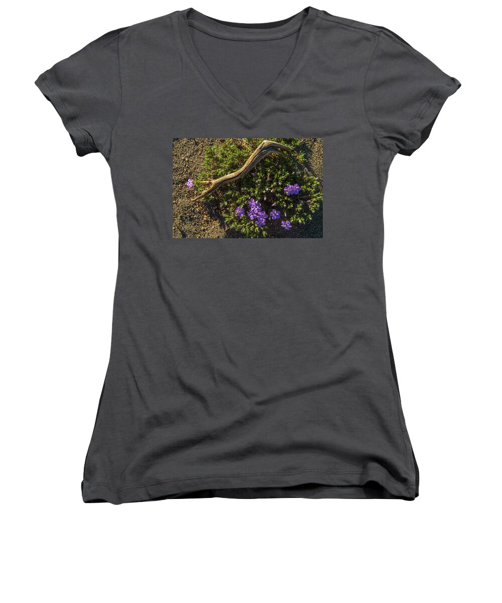 Crater Lake Women's V-Neck featuring the photograph Glowing Plox by Doug Scrima