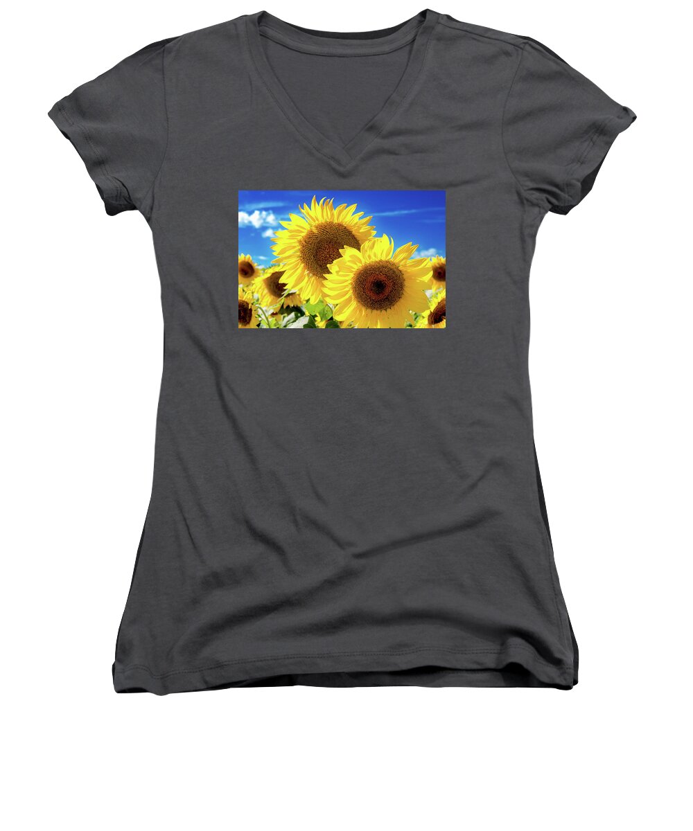 Farm Women's V-Neck featuring the photograph Gold by Greg Fortier