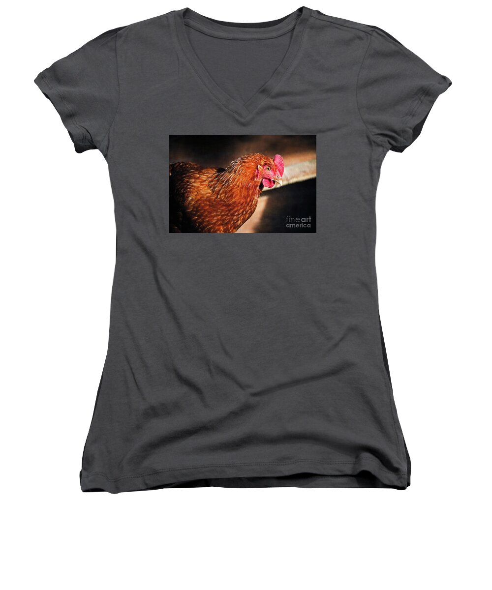 Golden Comet Chicken Women's V-Neck featuring the photograph Golden Comet by Mary Machare