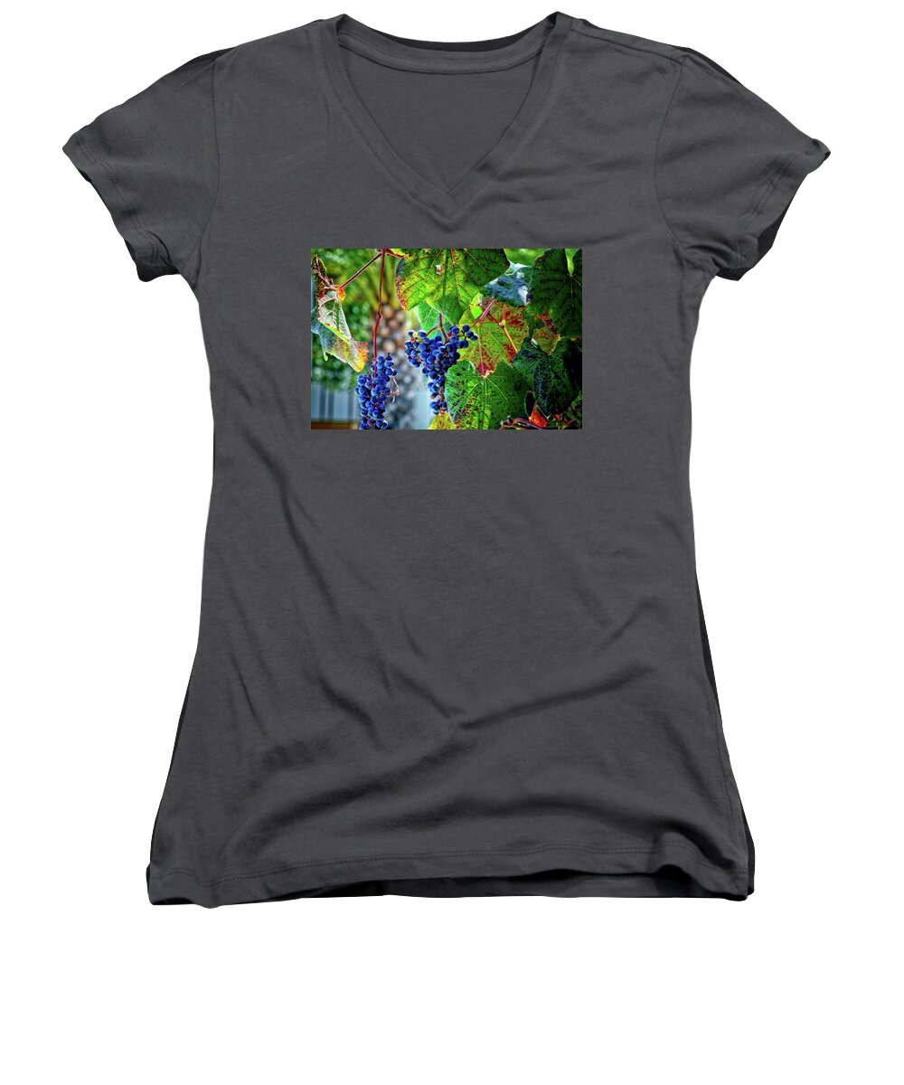 Grape Women's V-Neck featuring the photograph Grapes by Camille Lopez