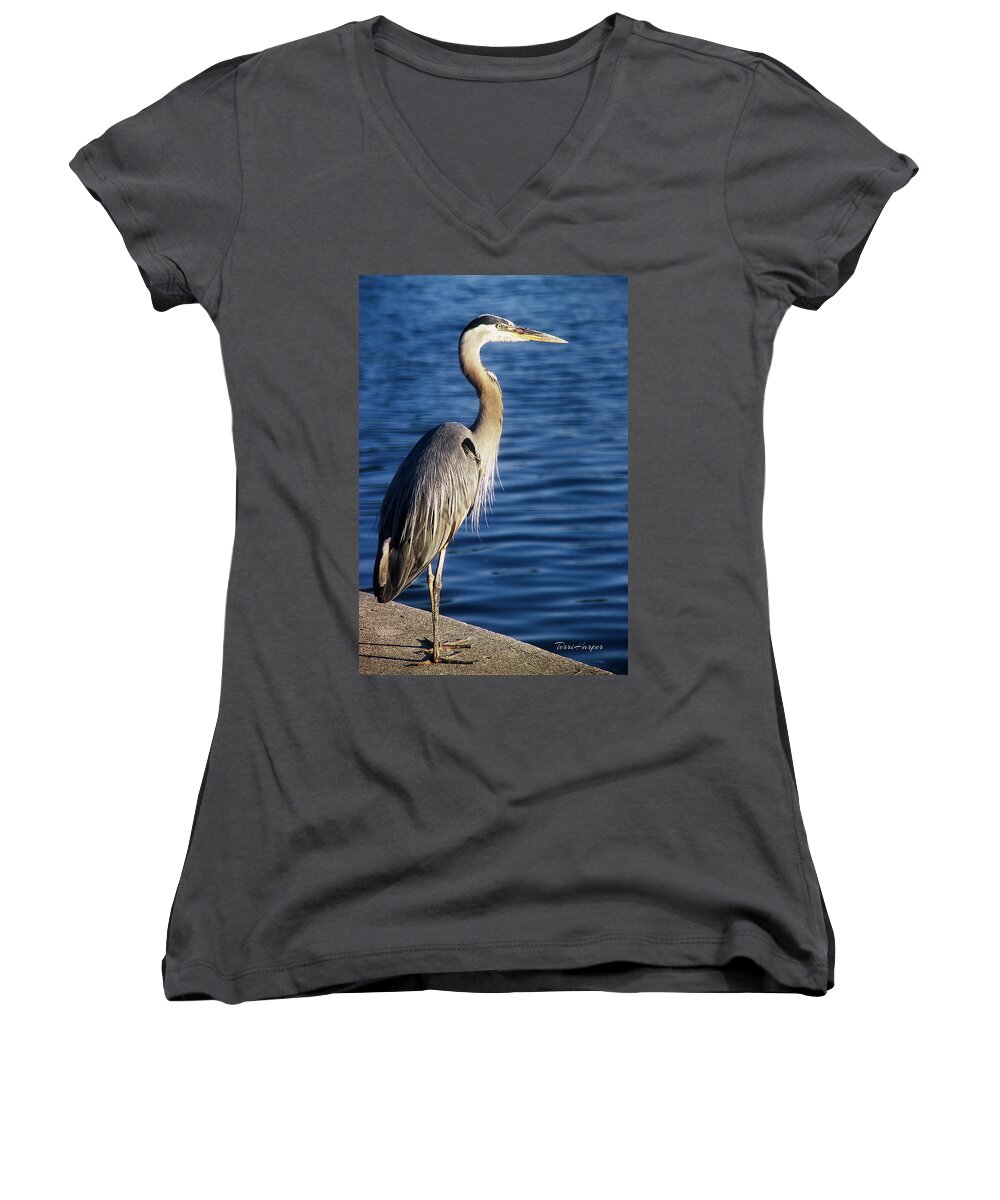 Great Blue Heron Women's V-Neck featuring the photograph Great Blue Heron At Put-in-Bay by Terri Harper