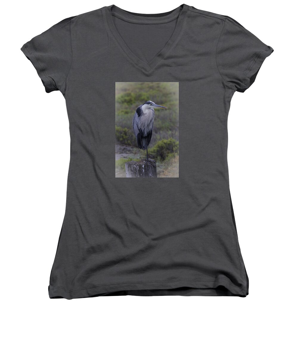 Great Blue Heron Women's V-Neck featuring the photograph Great Blue Heron by Dusty Wynne