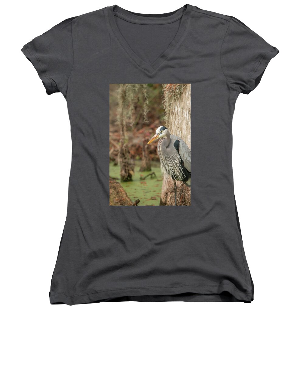 Great Blue Heron Women's V-Neck featuring the photograph Great Blue Heron on Guard by Dorothy Cunningham