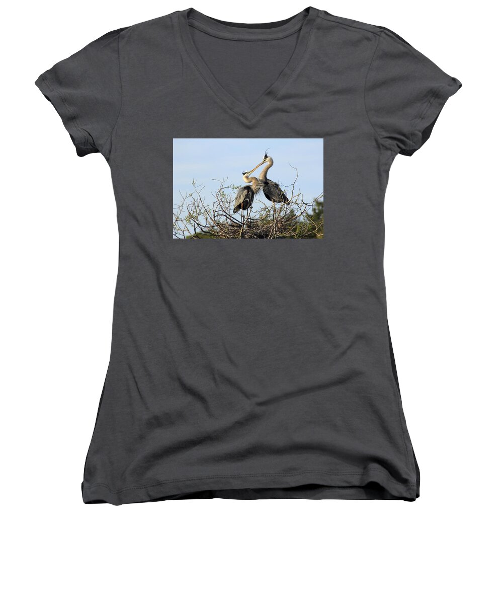 Bird Women's V-Neck featuring the photograph Great-Blue Herons on nest at the Venice Rookery, Florida by Gary Corbett