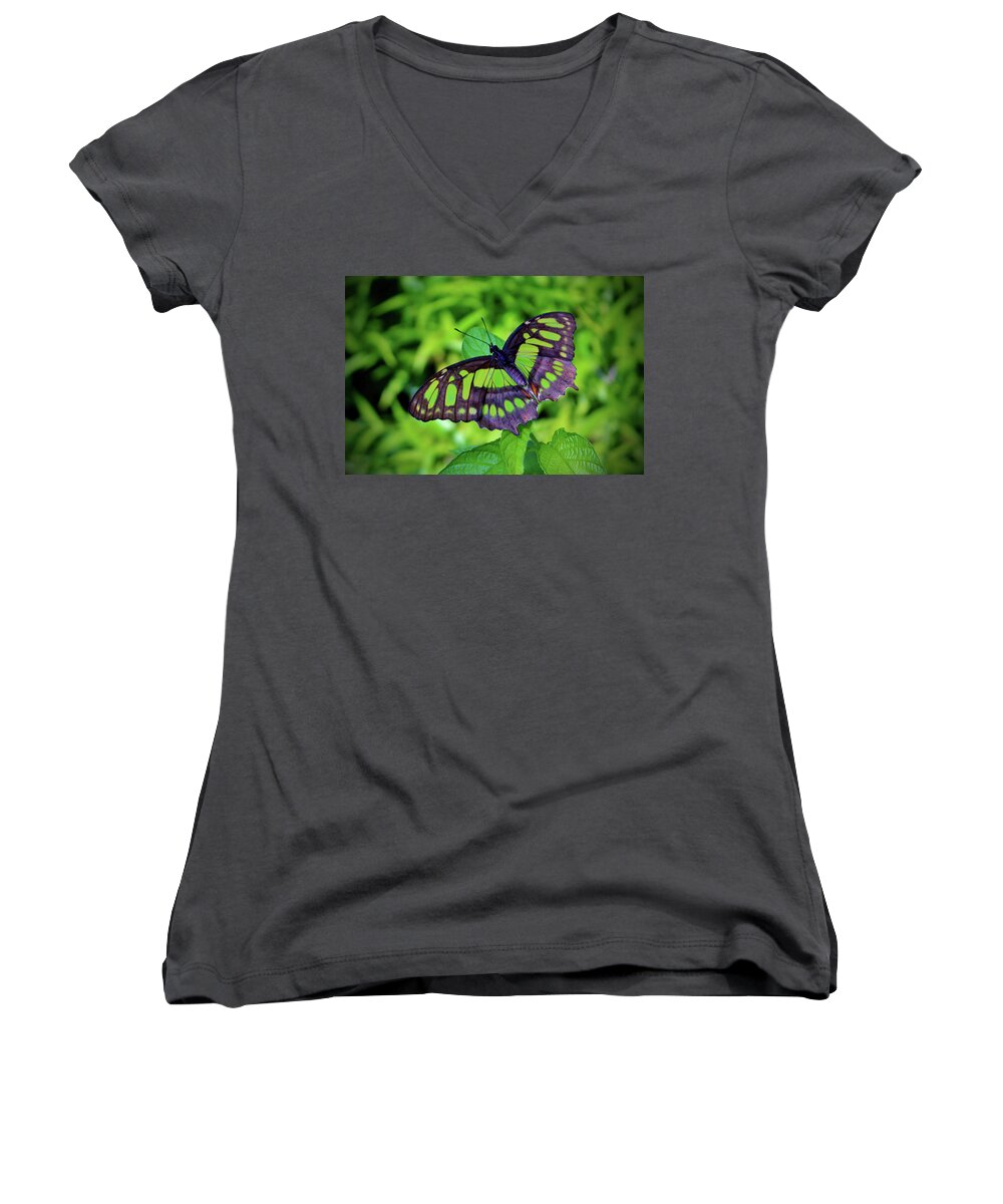 Malachite Women's V-Neck featuring the photograph Green And Black Butterfly by Cynthia Guinn