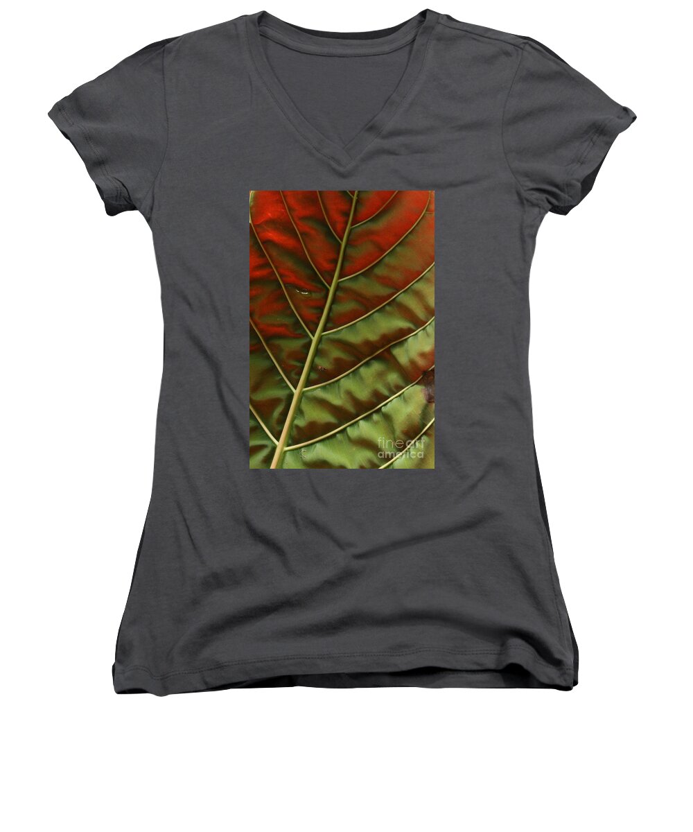 Red Leaf Women's V-Neck featuring the photograph Green and Red Leaf Silky Dunes 2 by Jennifer Bright Burr