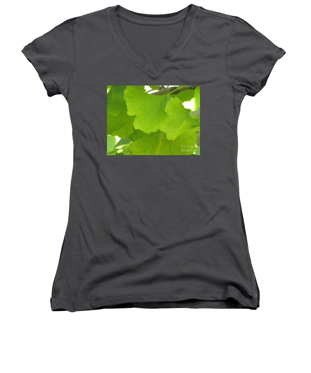 Ginkgo Leaves Women's V-Neck featuring the photograph Green Ginkgo by Kim Tran
