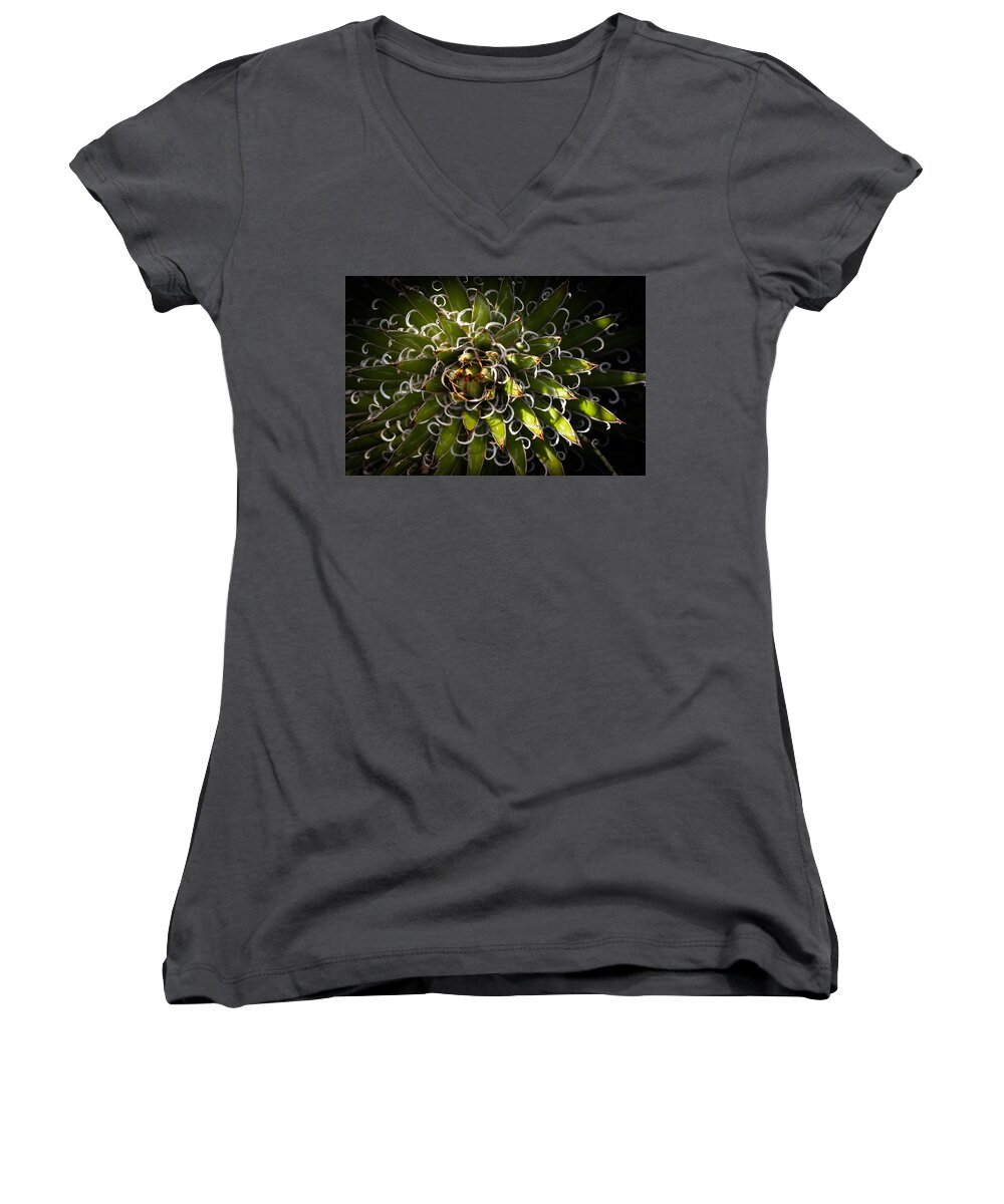 Pant Women's V-Neck featuring the photograph Green Plant by Catherine Lau