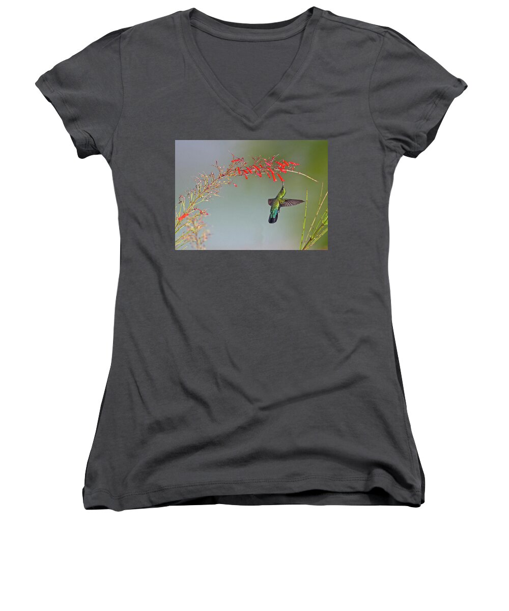 2016 Women's V-Neck featuring the photograph Green-throated Carib by Jean-Luc Baron