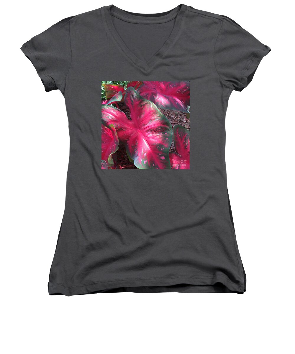 Plants Women's V-Neck featuring the photograph Grounded 2 by Pamela Henry