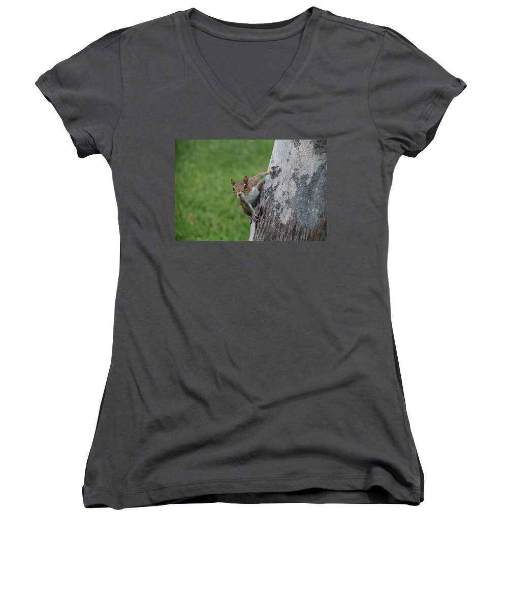 Squirrel Women's V-Neck featuring the photograph Hanging On by Rob Hans