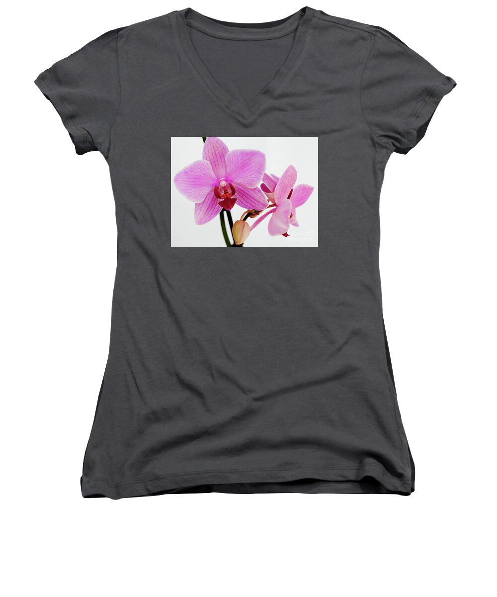 Orchid Women's V-Neck featuring the photograph Happiness and Carfree by Sherry Hallemeier