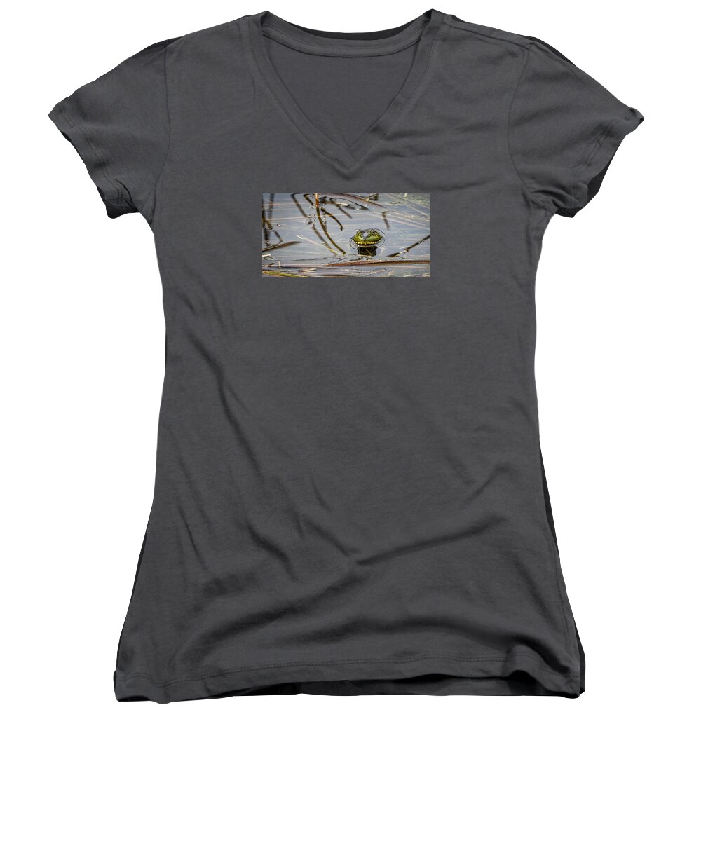 Bullfrog Women's V-Neck featuring the photograph Happy As aFrog by David Kay