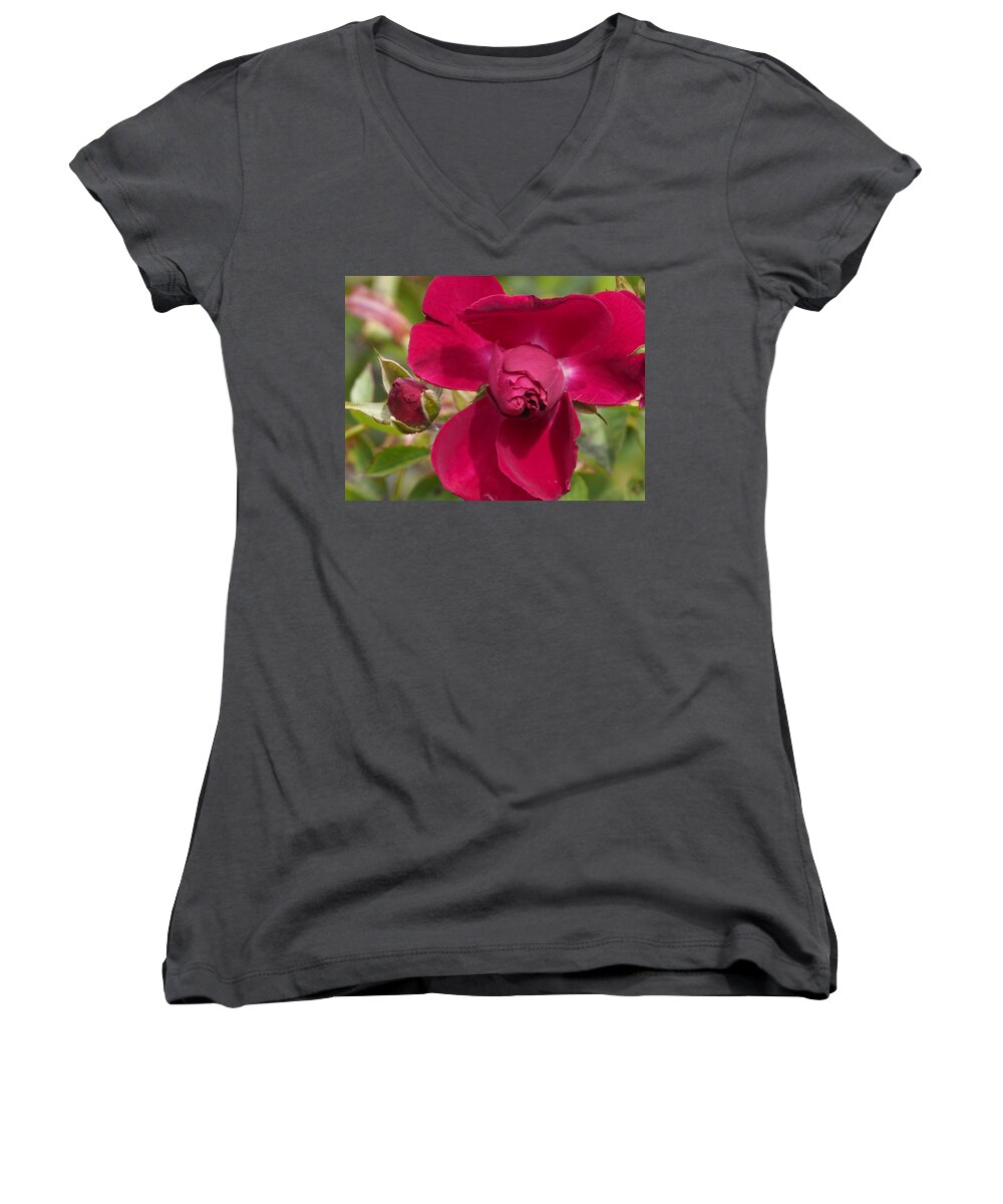 Botanical Women's V-Neck featuring the photograph Happy Rose by Richard Thomas