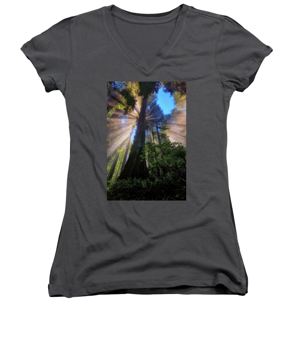 Redwoods Women's V-Neck featuring the photograph Heavenly Light Rays by Greg Norrell