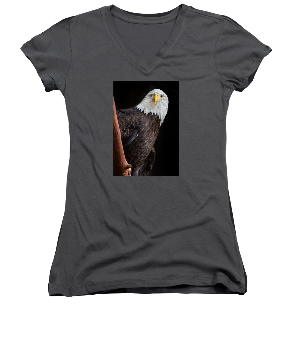 Bald Eagle Women's V-Neck featuring the photograph Her Majesty by Greg Nyquist
