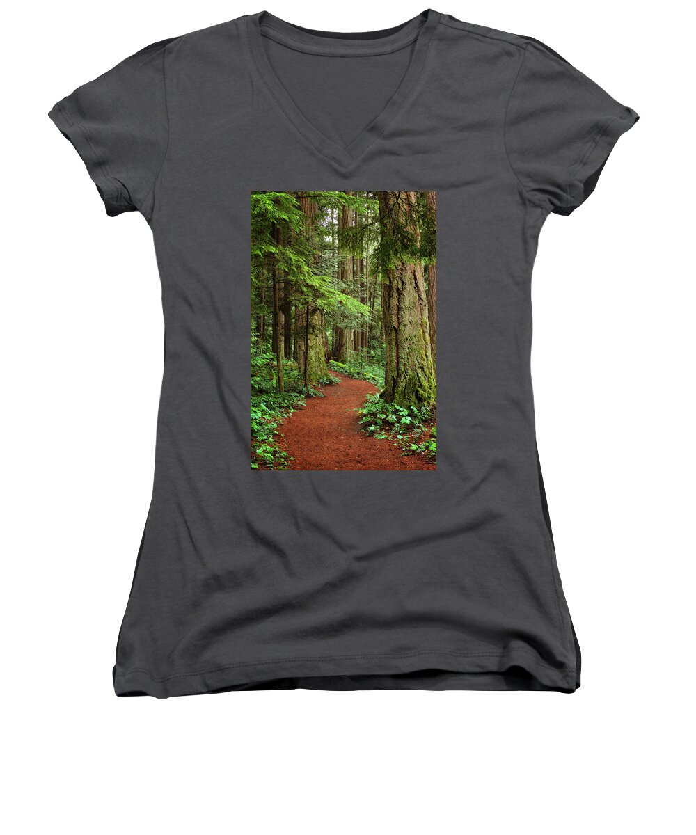 Forest Women's V-Neck featuring the photograph Heritage Forest 2 by Randy Hall