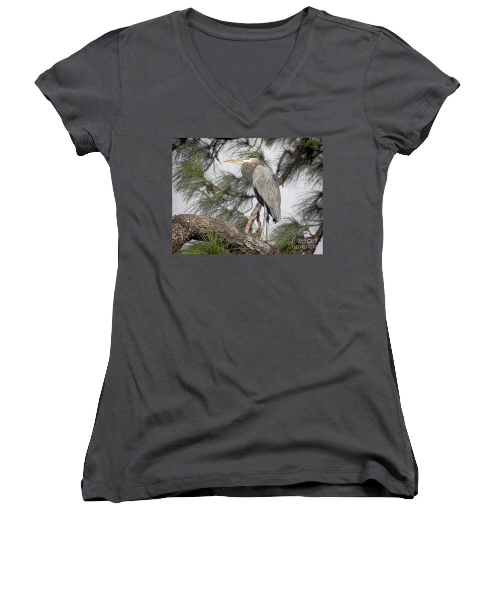 Blue Heron Women's V-Neck featuring the photograph High In The Pine by Deborah Benoit