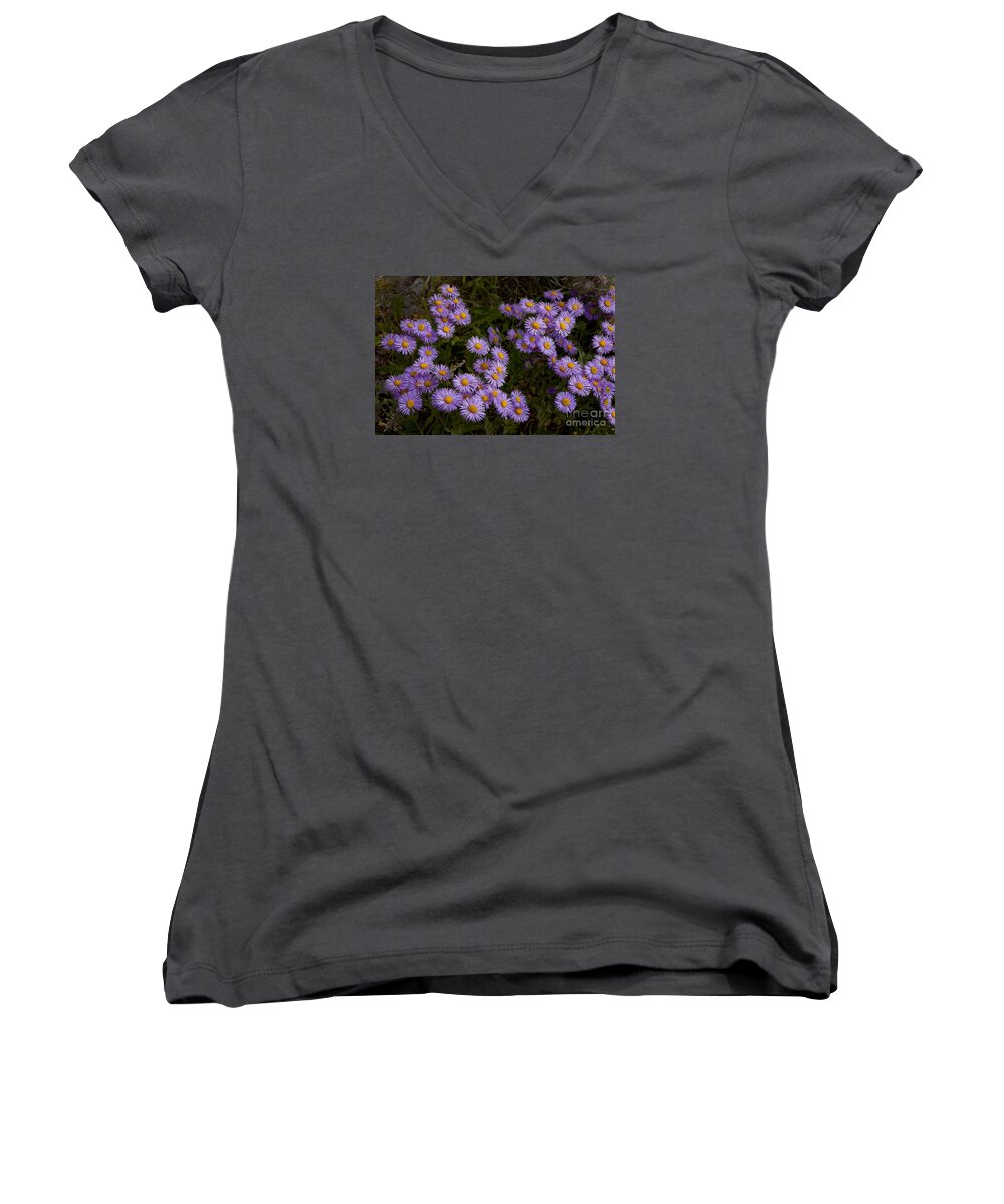 Hoary Tansyaster Women's V-Neck featuring the photograph Hoary Tansyaster-Signed-#9698 by J L Woody Wooden