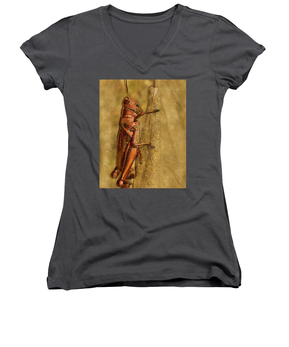 Macro Women's V-Neck featuring the painting Hopper-Macro Painted by Jack Zulli