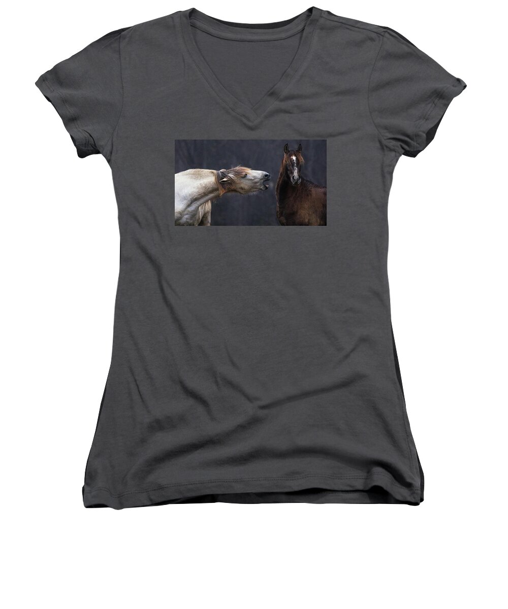 Horses Women's V-Neck featuring the photograph The Scolding by Art Cole