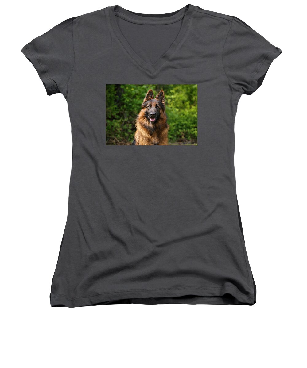Dogs Women's V-Neck featuring the photograph Hoss in Summer by Sandy Keeton