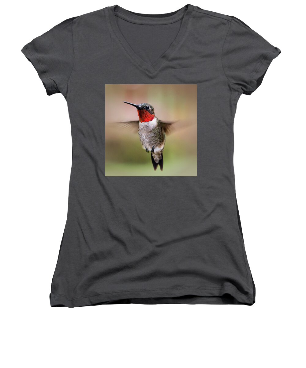 Hummingbird Women's V-Neck featuring the photograph Hovering I by Richard Macquade
