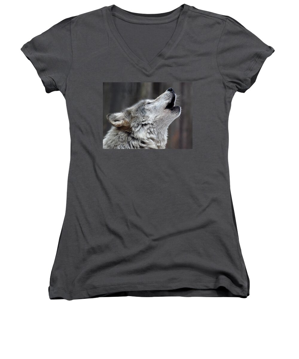 Lakota Women's V-Neck featuring the photograph Howl by Richard Bryce and Family