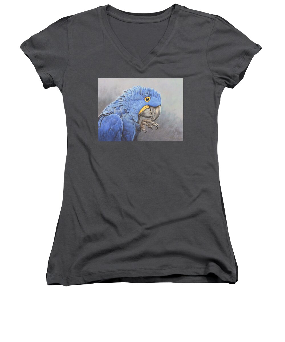 Wildlife Paintings Women's V-Neck featuring the painting Hyacinth Macaw by Alan M Hunt