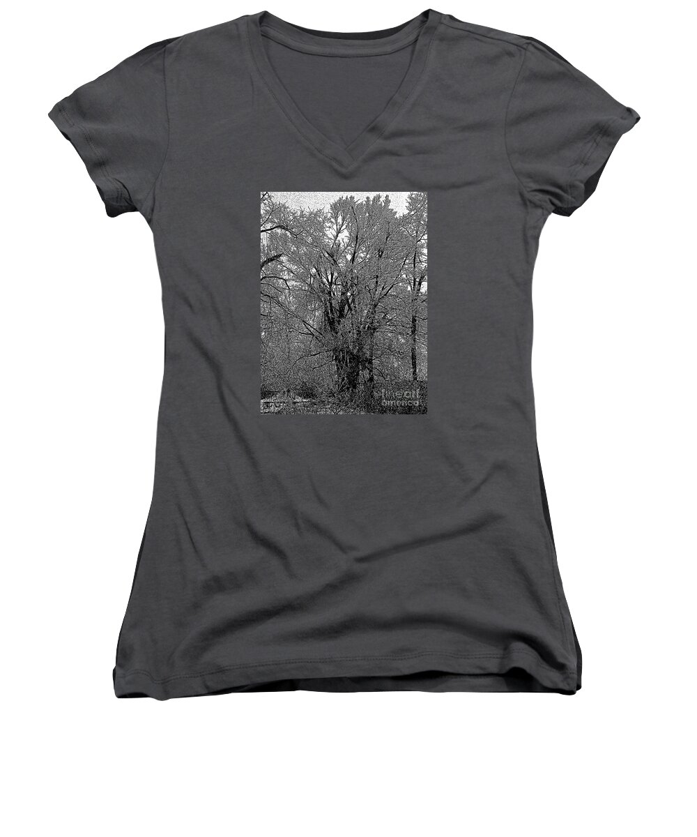 Ice Iced Tree Forest Limb Branch Cold Winter Hoarfrost Frost Outdoors Landscape Craig Walters A An The Art Artist Artistic Photo Photograph Photographic Women's V-Neck featuring the digital art Iced Tree by Craig Walters