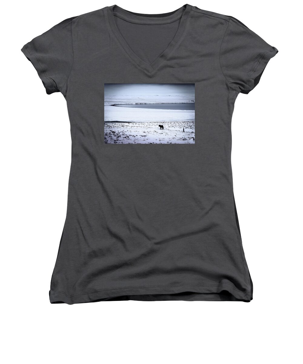 Iceland Women's V-Neck featuring the photograph Icelandic Horse by Peter OReilly