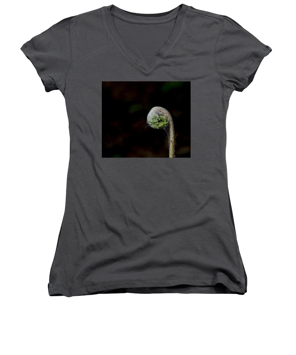 Fern Women's V-Neck featuring the photograph In the Beginning by David Kay