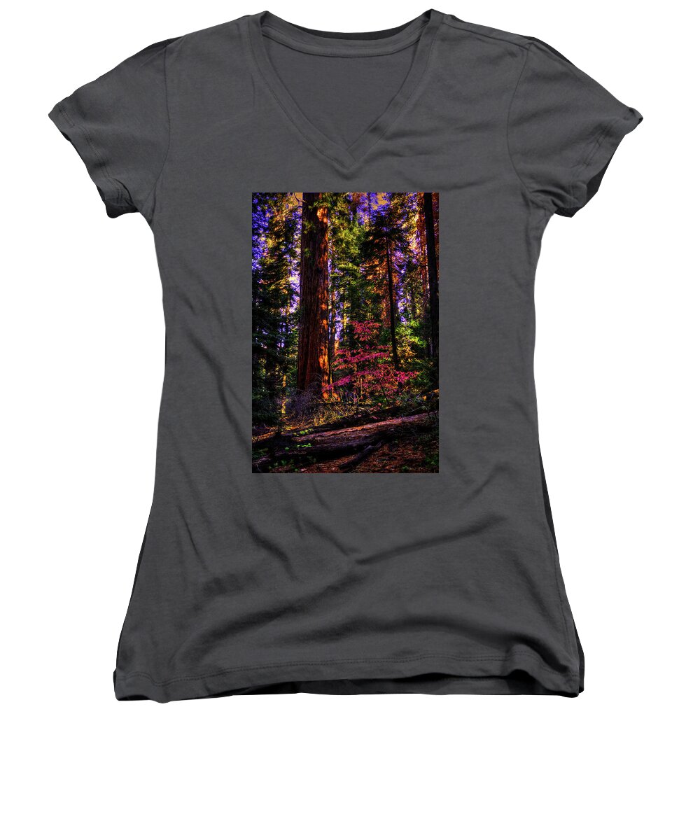California Women's V-Neck featuring the photograph In the Giant Forest by Roger Passman