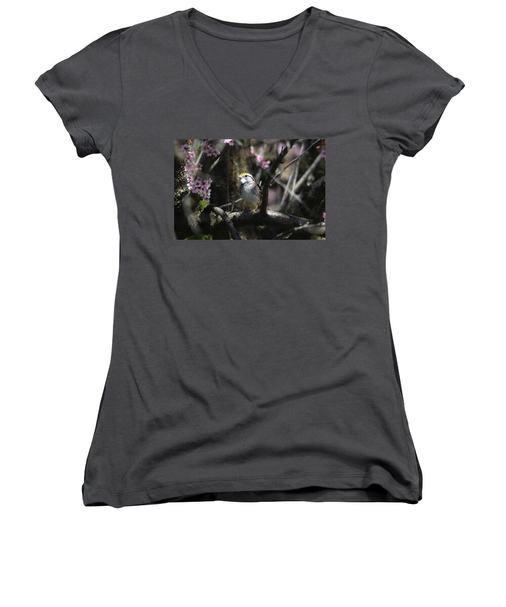 Birds Women's V-Neck featuring the photograph In the Light of Morning by Trina Ansel