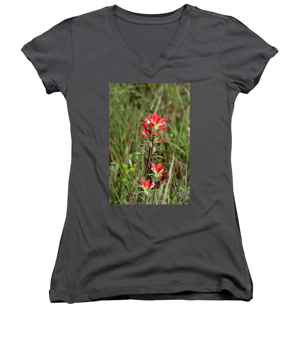 Close-up Women's V-Neck featuring the photograph Indian Paintbrush 2 by Sheila Brown