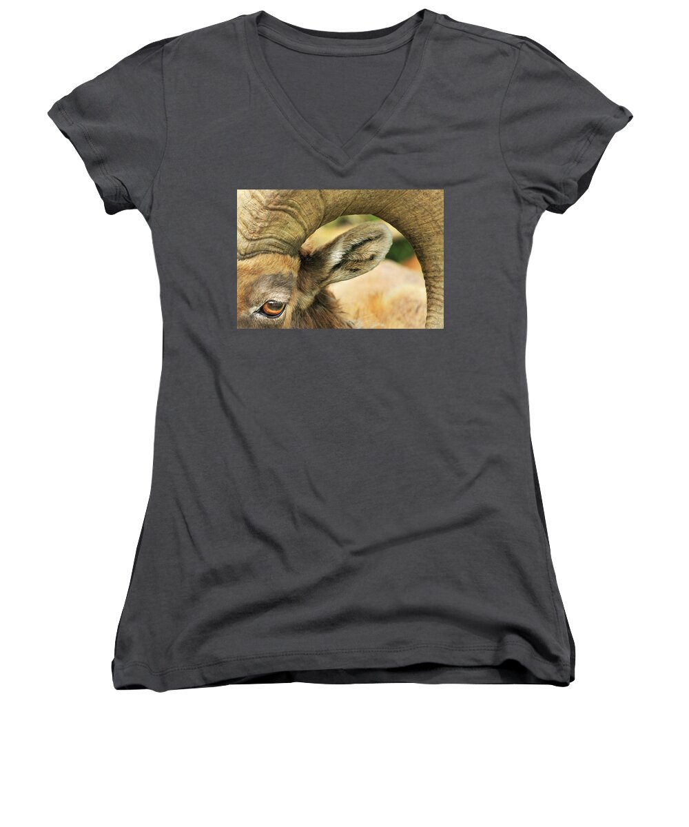 Landscape Women's V-Neck featuring the photograph I've Got An Eye On You by Brian Gustafson