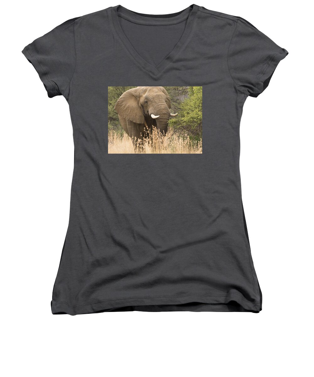 Wildlife Women's V-Neck featuring the photograph Jumbo by Patrick Kain