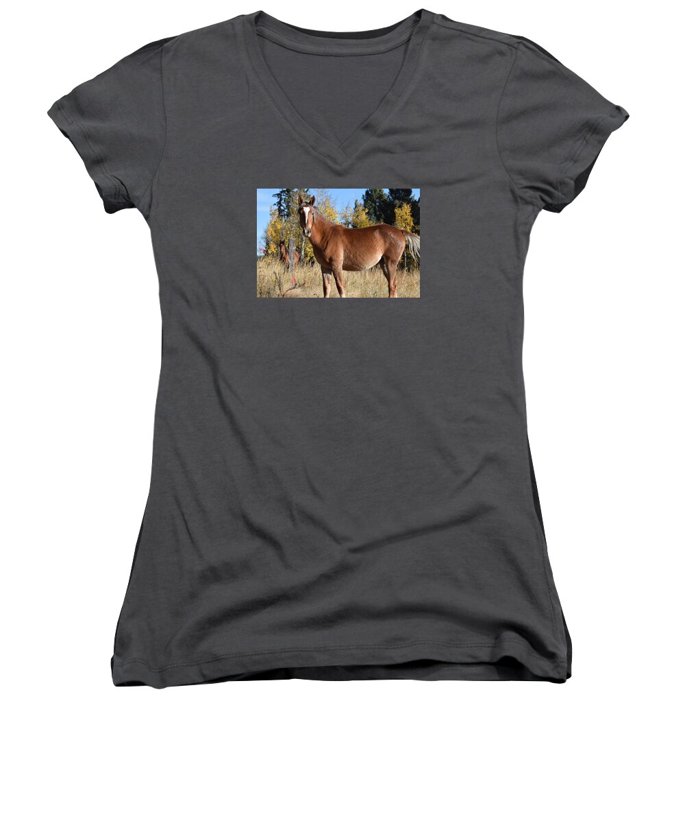 Animal Women's V-Neck featuring the photograph Horse CR 511 Divide CO by Margarethe Binkley