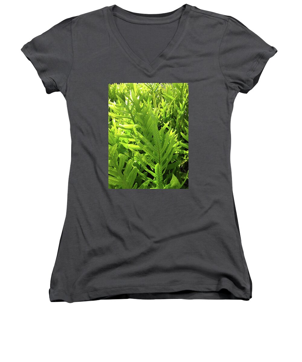 Fern Women's V-Neck featuring the photograph Lauae Fern by Gini Moore